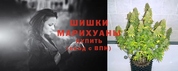 прущая мука Нея