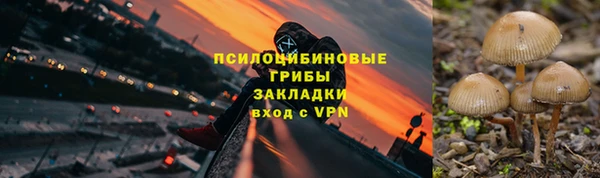 прущая мука Нея