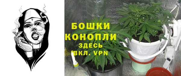 прущая мука Нея